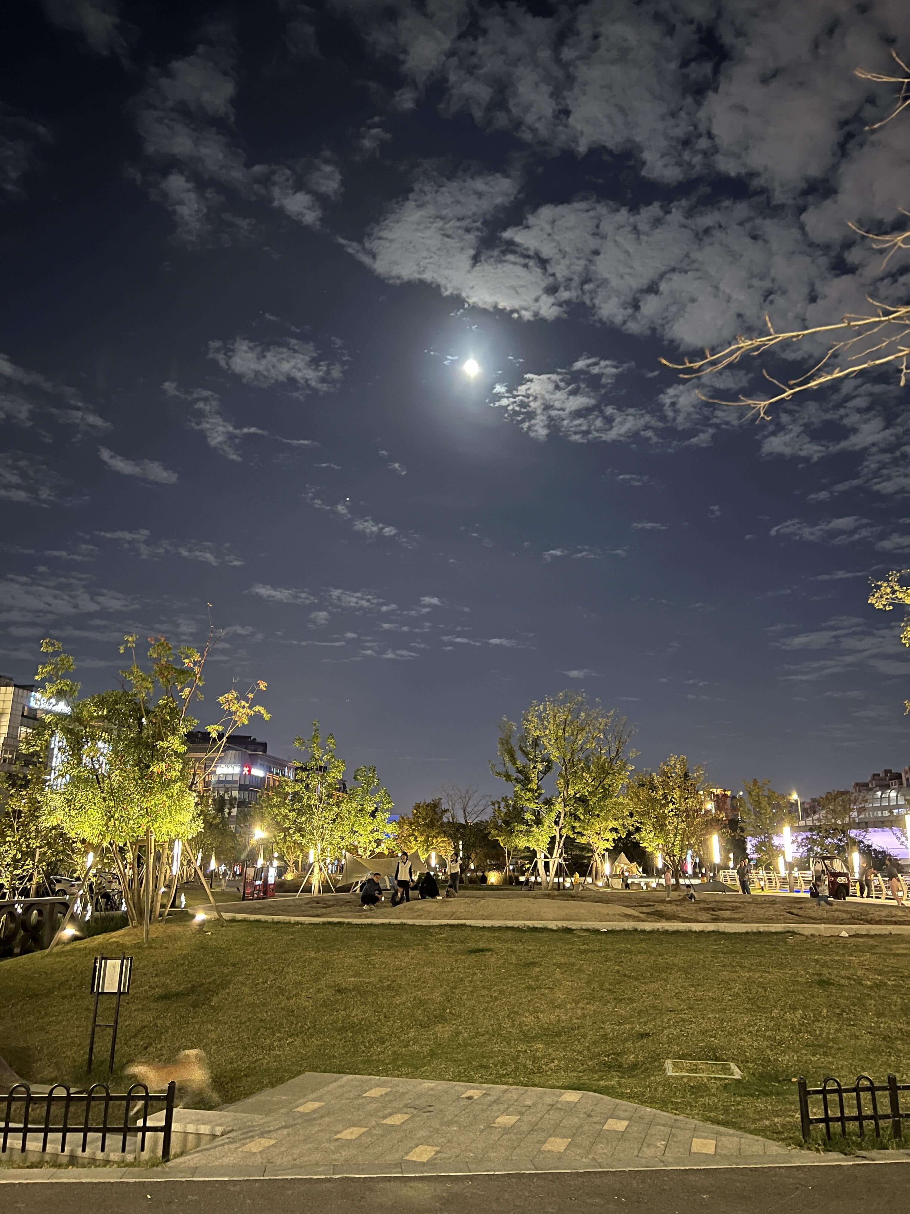 18沙坑夜景.JPG