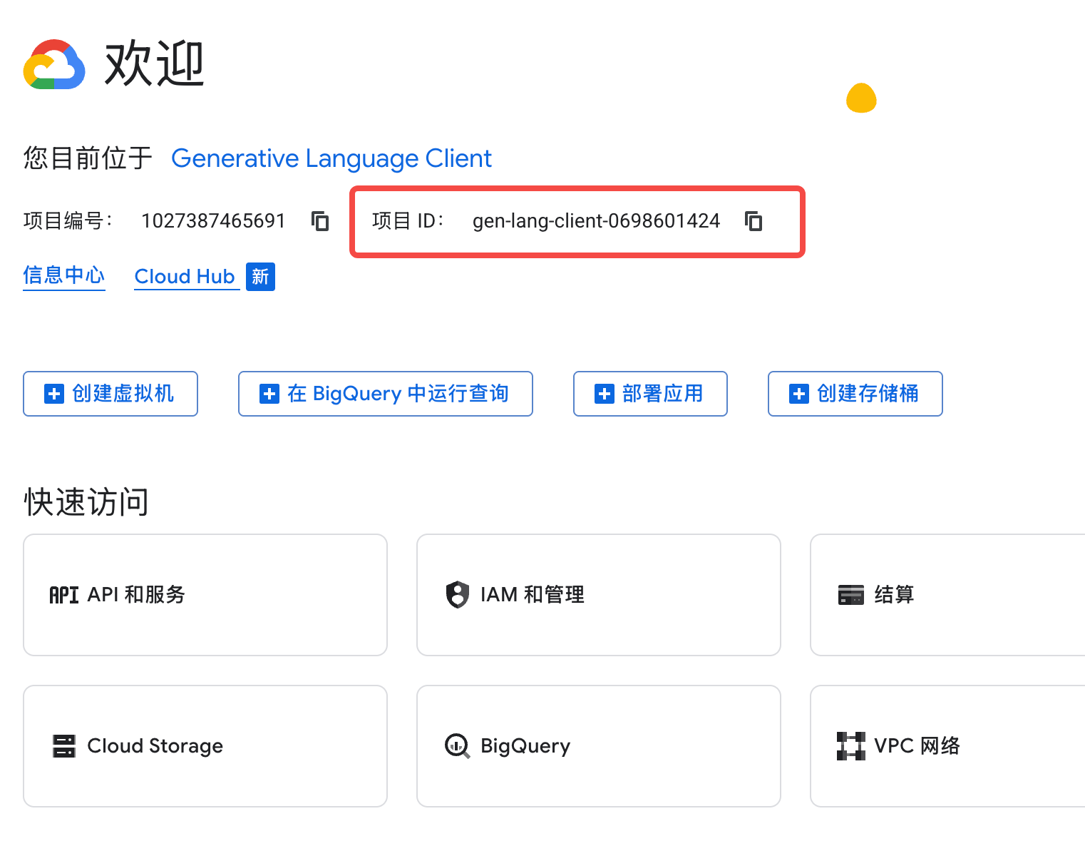 Google 登录成功回调页面示意(请替换为原始截图)